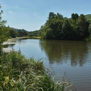 Parc Cwm Darran